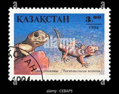 Postage stamp from Kazakhstan depicting a small lizard (Teratoscincus scincus) Stock Photo