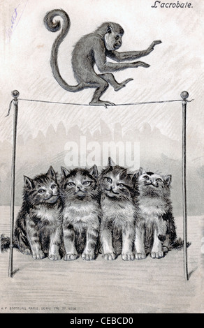 Vintage illustration of a monkey balancing on a tightrope with a row of 4 kittens sitting underneath, 1920. Stock Photo