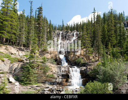Scenic Tangle Falls, an attraction on the Icefields Parkway, Alberta, Canada. Stock Photo