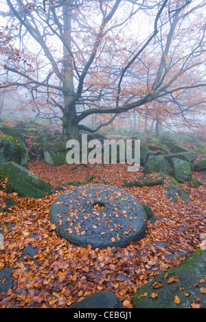 Autumn at the Waterfalls in Padley Gorge in the Peak District National Park Stock Photo