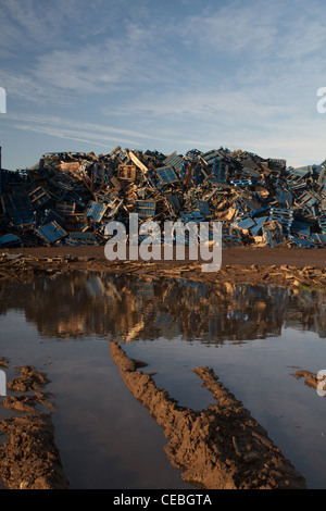 scrap pallets at a waste recycling centre Stock Photo