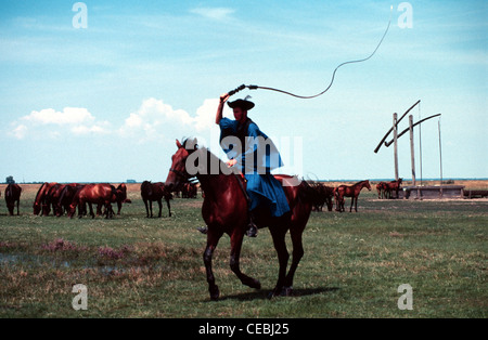A Csiko mounted horse-herdsman in traditional attire galloping a Nonius Hungarian horse breed during a ceremonial event in the vast Hungarian Plain called the Puszta of Hortobagy National Park near Debrecen Eastern Hungary Stock Photo