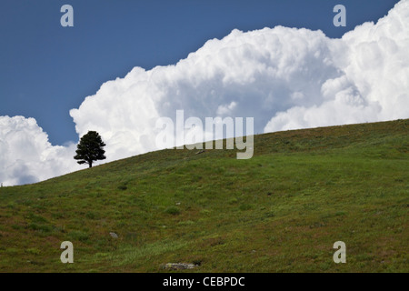American Great Plain Custer State Park South Dakota SD beautiful landscape pictures images photos large high resolution horizontal in USA US hi-res Stock Photo