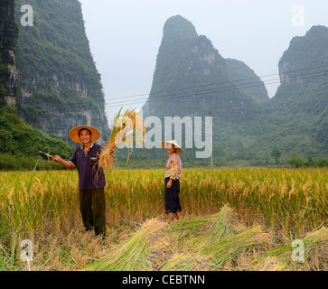 Farmer in field showing hand sickle and bundle of rice stalk crops with pointed Karst limestone peaks near Yangshuo Peoples Republic of China Stock Photo