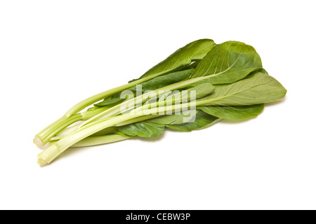 Choi Sum leaves isolated on a white studio background Stock Photo - Alamy