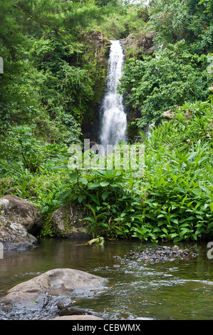 Waterfall in Marangu Kilimanjaro  Tanzania Stock Photo