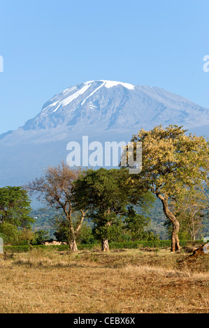 Kilimanjaro and agricultural land during dry season as seen from Moshi Tanzania Stock Photo