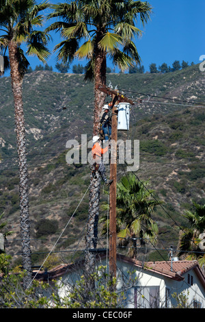 Two Men Working on Power Lines Stock Photo