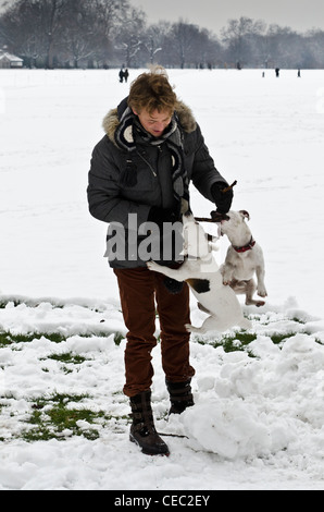 Young man playing with his two pet dogs in Winter snow Hyde park London UK Stock Photo