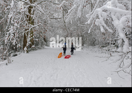 A couple of boys walking in snow covered woods with sledges. Hastings. East Sussex. England UK Stock Photo