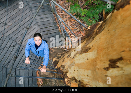 Woman climbing the spiral stairway of the Gloucester Tree, Gloucester National Park.  Pemberton, Western Australia, AUSTRALIA Stock Photo