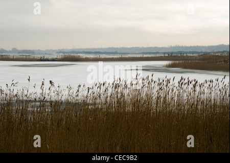 RSPB, Old Moor Nature reserve, Dearne Valley, Rotherham. February 2012 Stock Photo