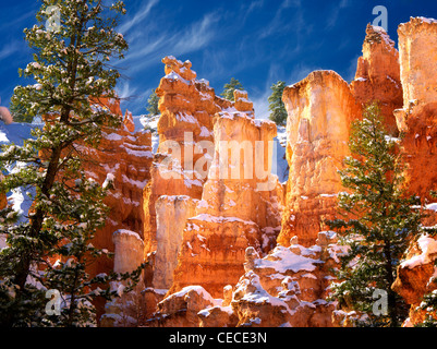 Snow in Bryce Canyon National Park, Utah Stock Photo