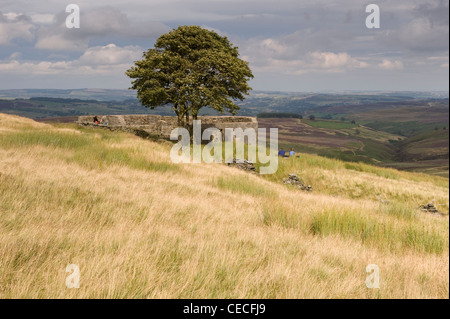 Top Withens, crumbling farmhouse ruin on wild remote Pennine moors (Wuthering Heights?) & people enjoying view - Haworth, West Yorkshire, England, UK. Stock Photo