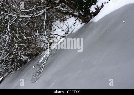 Frozen stream in Verulam Park, St Albans Stock Photo