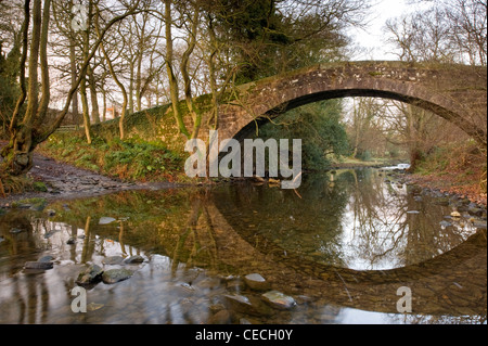 Historic Dob Park packhorse bridge over River Washburn in autumn sun, stone arch reflected in shallow water below - North Yorkshire, England, UK. Stock Photo