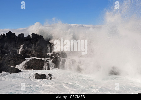 EUROPE, PORTUGAL, AZORES, Terceira, Biscoitos, waves crashing over the rocks of cooled lava Stock Photo