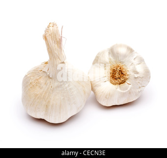 French garlic on white background Stock Photo