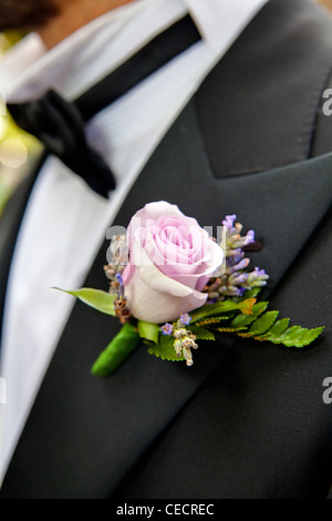 The groom's buttonhole flower Stock Photo