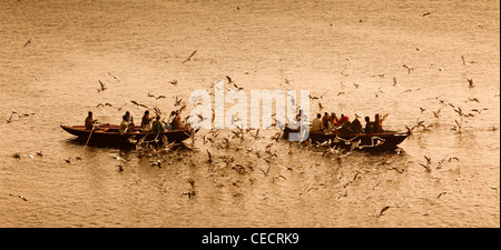 India, Uttar Pradesh, Varanasi, early morning view of birds surrounding boats on River Ganges Stock Photo