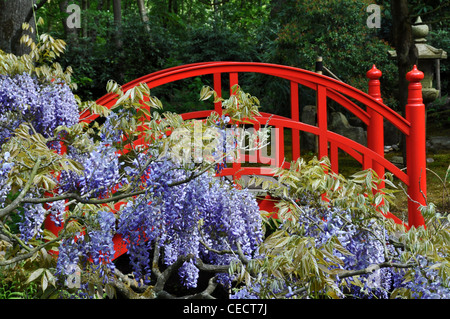 Red bridge in Japanese garden, The Hague, Netherlands, Europe Stock Photo