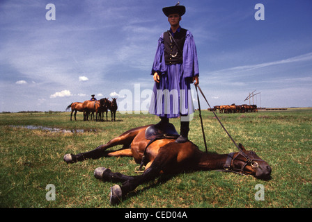 A Csiko herdsman in traditional attire standing on a Nonius a Hungarian horse breed trained to lie flat in the grass to make them “disappear” in exposed area in Puszta of Hortobagy National Park near Debrecen Eastern Hungary Stock Photo