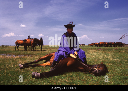 A Csiko herdsman in traditional attire sitting on a Nonius a Hungarian horse breed trained to lie flat in the grass to make them “disappear” in exposed area in Puszta of Hortobagy National Park near Debrecen Eastern Hungary Stock Photo