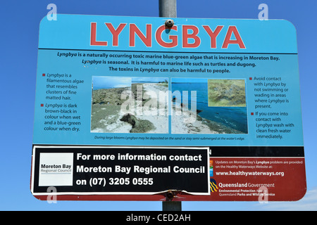 Lyngbya warning sign on the beach. Toxic blue-green algae Stock Photo