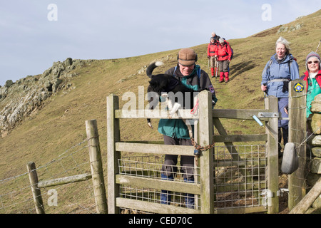 Carmel Head Anglesey North Wales UK. Walker lifting a dog over a locked kissing gate on coastal path walk Stock Photo