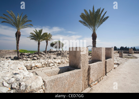 Israel, North Coast, Megiddo, Megiddo National Park, also known as Armageddon, ruins of ancient city Stock Photo