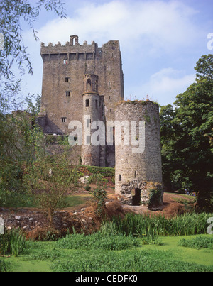 Castle keep and tower, Blarney Castle, Blarney, County Cork, Republic of Ireland Stock Photo