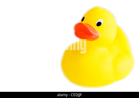 Classic yellow plastic duck with white background. Stock Photo