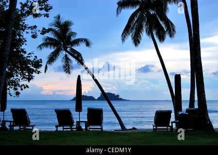 Beach during sunset with coconut palms, Koh Chang island, Thailand Stock Photo