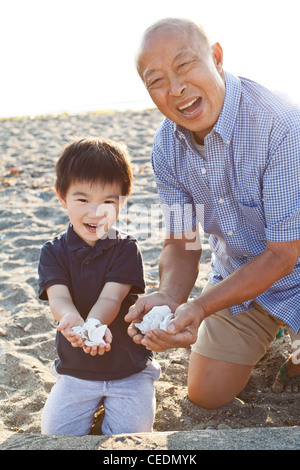 Chinese grandfather and grandson gathering shells on beach Stock Photo