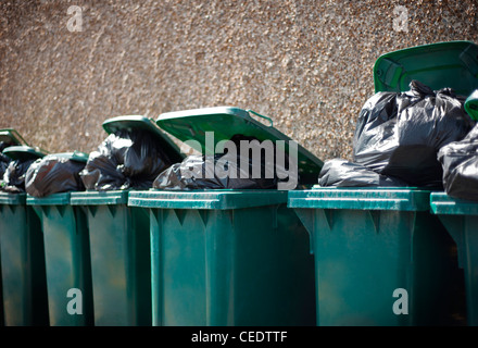 Emptied household green bins and garbage bins are left on the street ...