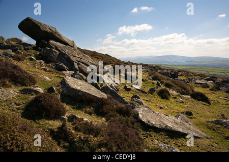 Mynydd Preseli, the Preseli Hills in the Pembrokeshire Coast National ...