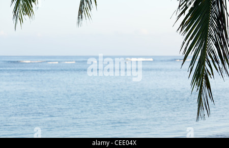 Blue calm ocean framed by fronds of palm tree Stock Photo