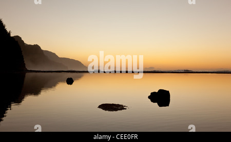 Albatros soaring over the Na Pali coast by Ke'e beach in Kauai at sunset Stock Photo