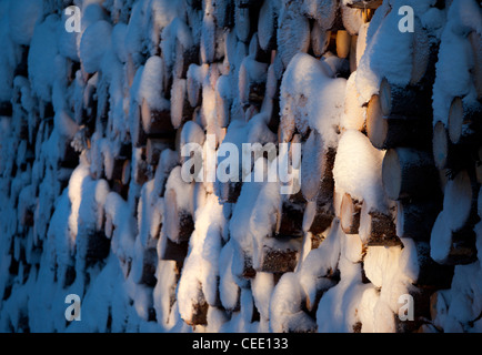 Closeup of snow covered spruce ( picea abies ) log pile , Finland Stock Photo