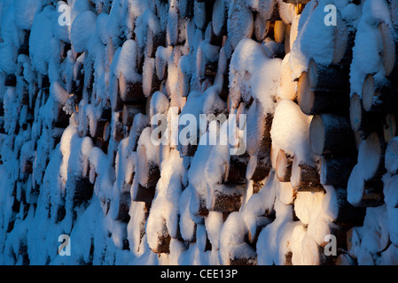 Closeup of now covered spruce ( picea abies ) log pile , Finland Stock Photo