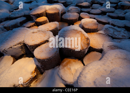 Closeup of  snow covered spruce ( picea abies ) log pile , Finland Stock Photo
