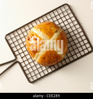 Hot cross bun on wire baking rack Stock Photo