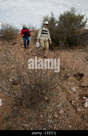 Volunteers Patrol Arizona Desert to Prevent Deaths of Migrants Crossing Border Stock Photo