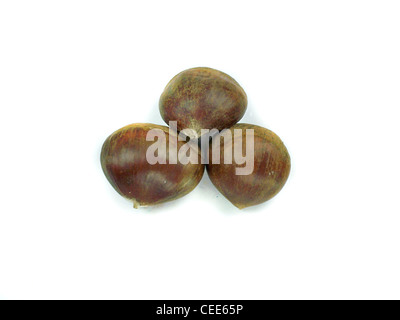 fresh chestnuts on a white background Stock Photo