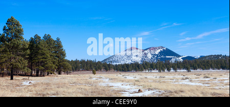 Sunset Crater volcano in Flagstaff, Arizona Stock Photo