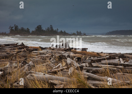 Logs driven onshore by a winter storm on a Vancouver Island Beach, Canada Stock Photo