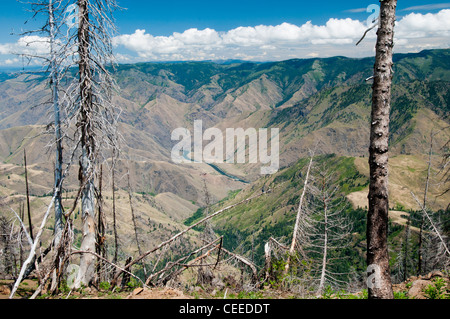 Hells Canyon view from Hat Point Lookout Oregon Stock Photo