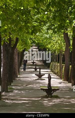 Strolling in the Retiro Park, Madrid, Spain. Stock Photo