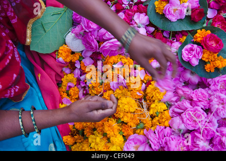 Woman selling flower, Pushkar, Rajasthan, India Stock Photo
