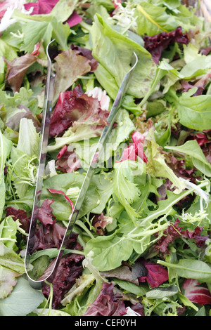 Large amount of organic, mixed salad greens with tongs for sale at an outdoor market. A bin of fresh mesclun salad mix for sale at an outdoor market Stock Photo